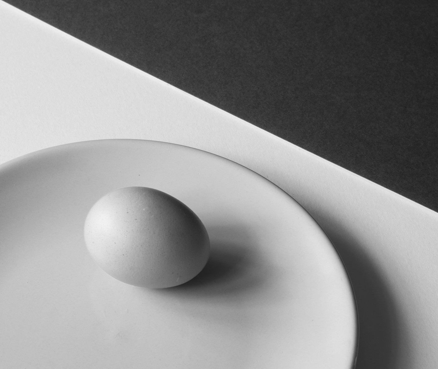 Egg - Alan Moran